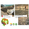 Compost microbien de fumier animal à bio fertilisant